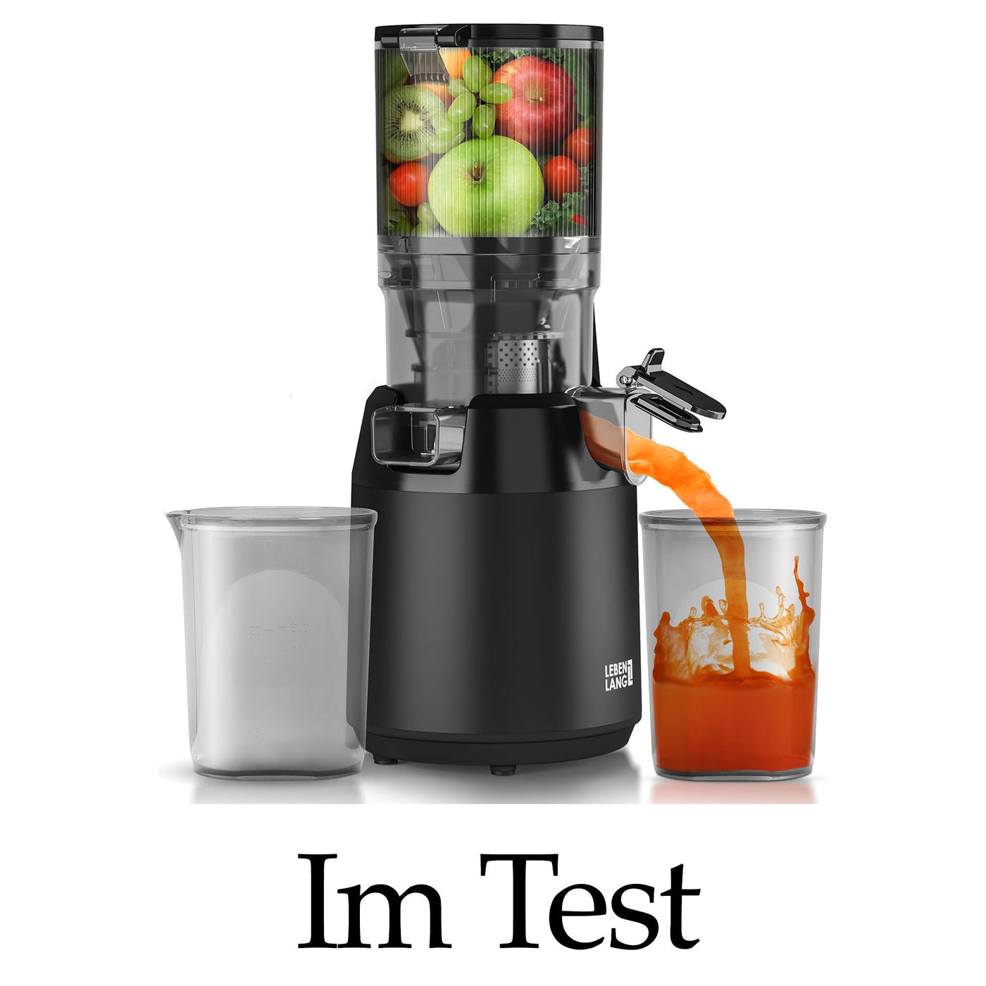 LEBENLANG LBL3077 Slow Juicer im Test