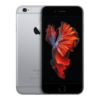 iPhone 6 / 6s Handyhüllen