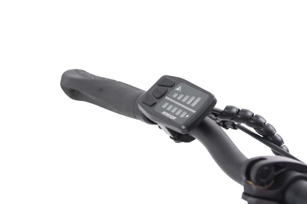 F.lli Schiano E-Sky, E Bike Klappbar 20 Zoll, 36V 7.8Ah Abnehmbarer Akku, Motor 250W 40Nm, Klapprad Ebike für Herren/Damen, Weiss