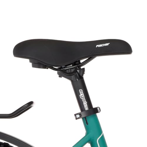 FISCHER E-Bike ATB Terra 4.0i Elektrofahrrad für Damen und Herren, RH 45, Mittelmotor 80, 36 V Akku