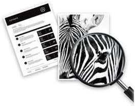 HP 62 (C2P06AE) Original Druckerpatrone Farbe für HP ENVY 55xx, 56xx, 7640, HP OfficeJet 200, 250, 57xx, Cyan/Magenta/Gelb