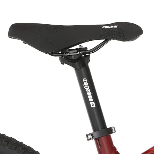 Fischer E-Mountainbike MONTIS 7.0i, Elektrofahrrad für Damen und Herren, Mittelmotor 70 Nm, 36 V Akku