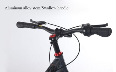 Mountainbike Für Jugendliche 24 Zoll Doppelstoßdämpfer Doppelscheibenbremsen In Mehreren Farben D,22 inches