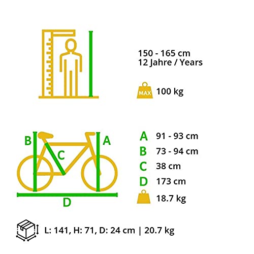 BIKESTAR Fully Mountainbike Shimano 21 Gang Schaltung, Scheibenbremse 26 Zoll Reifen | 15 Zoll Rahmen MTB Vollgefedert | Mint