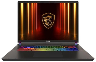 MSI Vector 17 HX AI Gaming-Laptop, 17" QHD+ 240 Hz Display, Intel Core Ultra 9 275HX, NVIDIA GeForce RTX 5080, 32 GB RAM, 2 TB SSD, Windows 11 Home, QWERTZ Tastatur, Cosmos Grau, A2XWIG-040