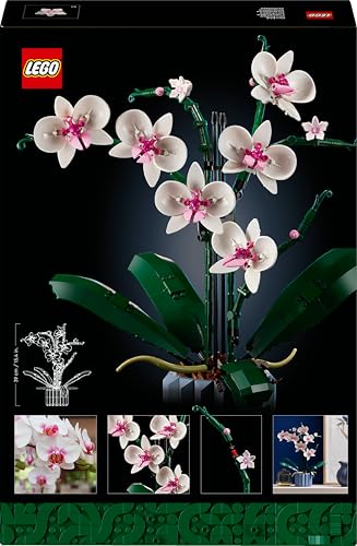 LEGO Botanicals Orchidee - Künstliche Pflanzen Set mit weißen und rosa Blumen - Modellbausatz für Erwachsene - Home und Zimmer-Deko - Botanik Kollektion - Geschenke für Frauen und Männer 10311