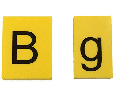 Betzold - Lese-Magnetbox - Lesen Lernen Kinder Buchstaben-Kasten magnetisch Lernspielzeug