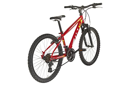 Alpina Bike Jungen Flip Mountainbike, Rot, 24