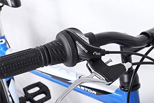 26 Zoll Fahrrad 21-Gang Schaltung mit Beleuchtung nach STVO Türkis Doppelrahmen