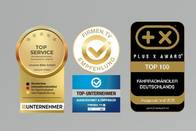 Licorne Bike Strong V Premium Mountainbike in 24 Zoll - Fahrrad für Jungen, Mädchen, Damen und Herren - 21 Gang-Schaltung - Vollfederung