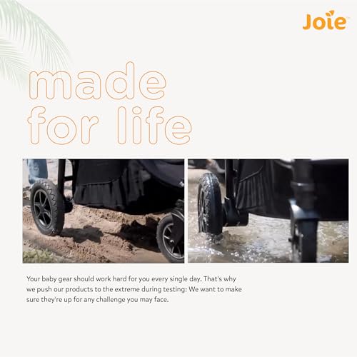 Joie Muze Kinderwagen mit vollem Funktionsumfang, kompakter faltbarer Babywagen mit 5-Punkt-Gurt, kompatibel mit Reisesystem, flach liegend und geeignet für Geburt bis 15 kg (Geburt - 36 Monate)