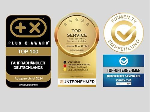 Licorne Bike Stella Premium City Bike in 24,26 und 28 Zoll - Fahrrad für Mädchen, Jungen, Herren und Damen - 21 Gang-Schaltung - Hollandfahrrad Citybike (Schwarz, 26.00)