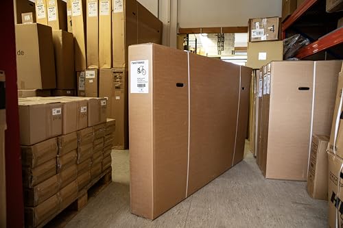 Tretwerk Aurora E Bike 28 Zoll Pedelec Damen Herren 155-185 cm Elektrofahrrad 522 Wh E Fahrrad Damenfahrrad 7 Gang (hellgrün, 50 cm)