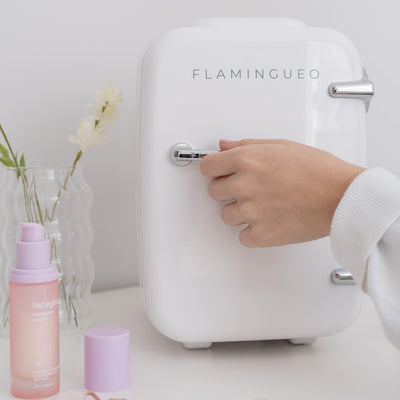 Flamingueo Mini Kühlschrank - Kühlschrank Klein 4L, 12V/220V, Mini Fridge, Skincare, Funktion Kühlen und Heizen, Tischkühlschrank, Kosmetik Kühlschrank