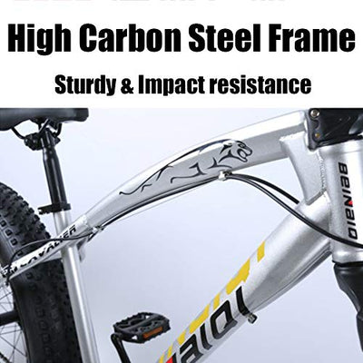 Wmmner Hardtail Mountain Bike 26 Zoll mit mechanischen Scheibenbremsen für Männer und Frauen, Fat Tire Adults Mountain Fahrrad, High Carbon Steel & Adjustable Seat & Front Federung, Silber, 27 Speed