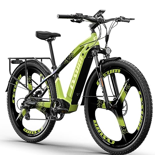 cysum Speedy E-Bike, E-Mountainbike, 29 Zoll (73,8 cm) für Erwachsene, Elektrofahrrad mit abnehmbarem Akku, 48 V, 14 Ah, Autonomie 80 km, 75 Nm, 25 km/h (29 Zoll grün)