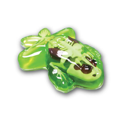 Original SLIMY Lab Dissect-IT Frosch - Experimentieren & Forschen Sezier-Set - Schleim Labor, prämiertes STEM/Mint Lernspielzeug, Slime-Set mit Spielknete und Sezierwerkzeug