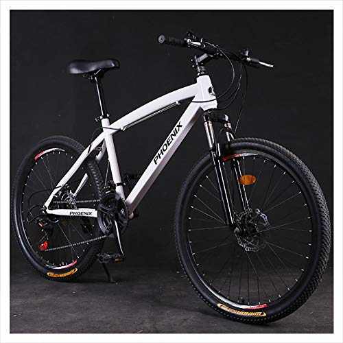 Wmmner Hardtail Mountain Trail Bike 24 Zoll für Erwachsene Damen, Mädchen Mountainbike mit Vorderradaufhängung und Scheibenbremsen, Rahmen aus Stahl mit hohem Kohlenstoffgehalt und verstellbarem Sitz