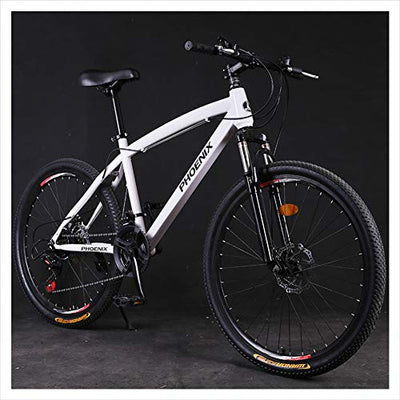 Wmmner Hardtail Mountain Trail Bike 24 Zoll für Erwachsene Damen, Mädchen Mountainbike mit Vorderradaufhängung und Scheibenbremsen, Rahmen aus Stahl mit hohem Kohlenstoffgehalt und verstellbarem Sitz