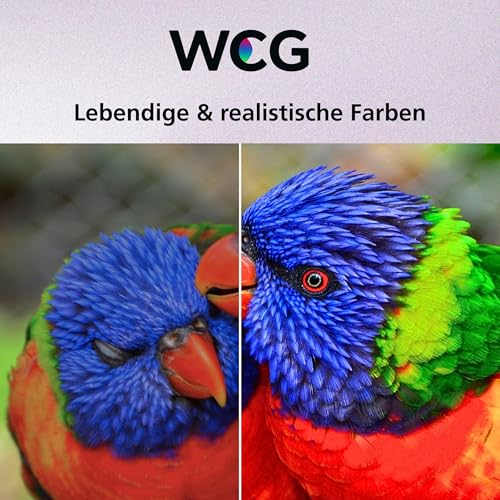 JVC Fernseher 65 Zoll Fire TV 4K QLED Smart TV mit Dolby Vision HDR, Dolby Atmos, Alexa Sprachsteuerung und Triple Tuner, UHD Fernseher LT-65VRQ3555 (2026)