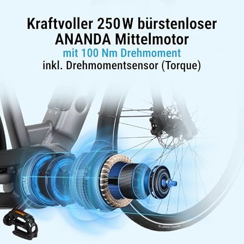 AsVIVA E-Bike B14 Stadtfalter 28 Zoll Citybike - Hollandrad für Damen & Herren | Elektrofahrrad Pedelec 25km/h | Tiefeinsteiger | 250W Motor - 36V 17.5 Ah mit bis zu 150 km Reichweite