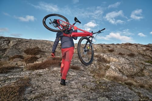 Fischer E-Mountainbike MONTIS 7.0i, Elektrofahrrad für Damen und Herren, Mittelmotor 70 Nm, 36 V Akku