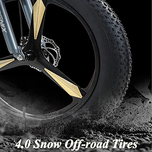 Wmmner Mountainbike für Erwachsene, 24-Zoll-Räder, Herren, Stahlrahmen für Damen, Mountainbikes mit fettigen Reifen, Mountainbike mit hartem Schaft, mechanische Scheibenbremsen, Grau, 27 Gänge