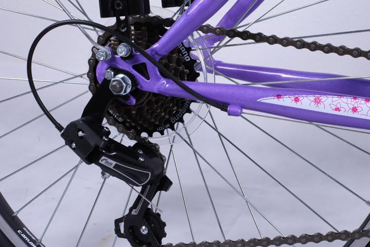 Talson 26 Zoll Mädchenfahrrad 21-Gang Shimano Schaltung mit Beleuchtung nach STVO Lila Doppelrahmen