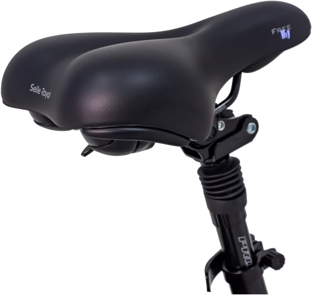 smartEC Camp-20H E-Bike Klapprad 250W Hinterradmotor Li-Ion-Akku 36V/15,6Ah 20 Zoll E-Klapprad E-Faltrad Elektrofahrrad Reichweite 100km bis 25 km/h Modelljahr 2024 (Schwarz)