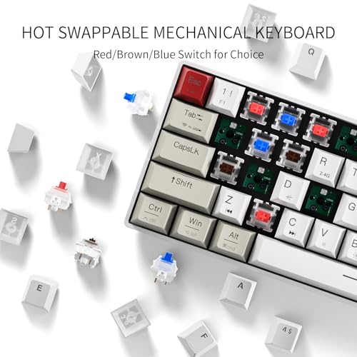 Newmen GM610 Gaming Tastatur Kabellos,60% Prozent Mechanische Bluetooth/2.4Ghz/Mit Kabel,61 Tasten RGB Beleuchtung Hot Swap Anti Ghosting TKL Mini QWERTY Keyboard für PC/Win/Mac,Rote Schalter