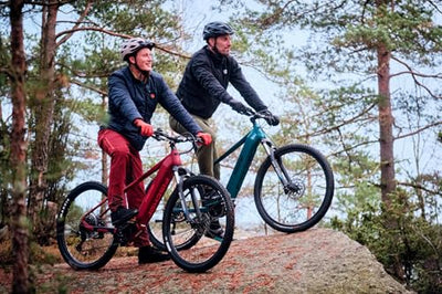 Fischer E-Mountainbike MONTIS 7.0i, Elektrofahrrad für Damen und Herren, Mittelmotor 70 Nm, 36 V Akku