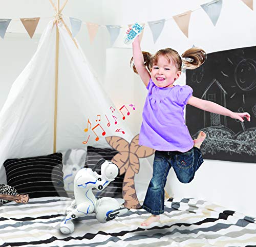 Lexibook Power Puppy - Mein Roboterhund zum Trainieren - Programmierbarer Roboter mit Fernbedienung, Dressurfunktion, Gestensteuerung, Tanz, Musik, Lichteffekte - DOG01