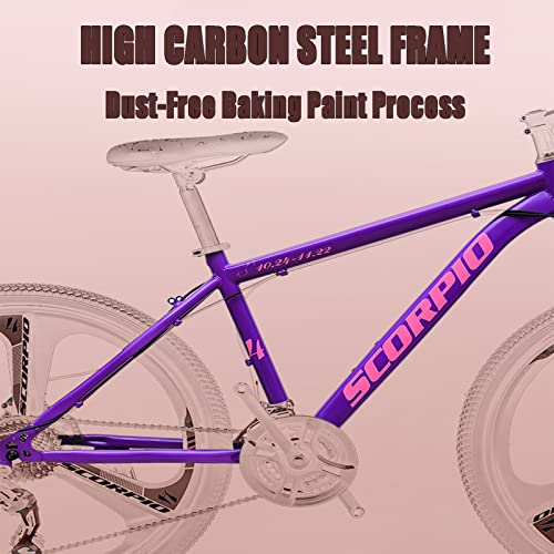 Wmmner Mountainbike, Hardtail 24 Zoll, 12 Constellations Mountain Trail Bike für Männer und Frauen, Mountainbike Frontpension mit Doppelscheibenbremse, Fahrrad