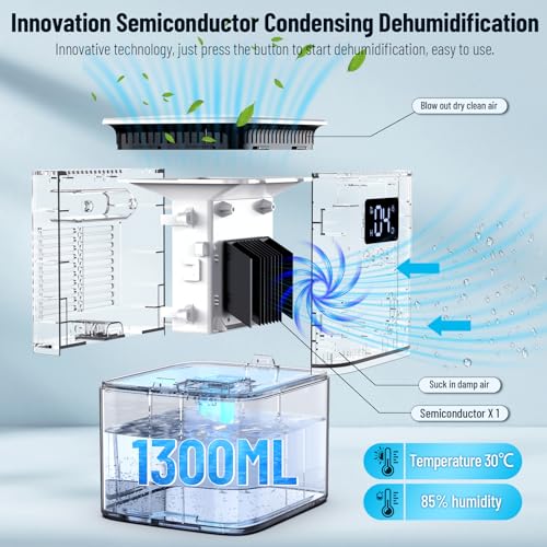 Luftentfeuchter Elektrisch Entfeuchter Keller 1300mL Raumentfeuchter klein Dehumidifier Automatisches Abtauen Mit 7 Farbe Nachtlicht Schlafmodus Entfeuchter Leise für Wohnung Badezimmer Schlafzimmer