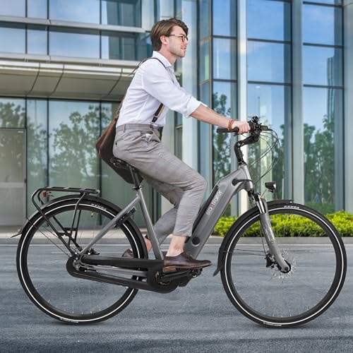 AsVIVA E-Bike B14 Stadtfalter 28 Zoll Citybike - Hollandrad für Damen & Herren | Elektrofahrrad Pedelec 25km/h | Tiefeinsteiger | 250W Motor - 36V 17.5 Ah mit bis zu 150 km Reichweite