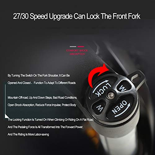 DULPLAY Mountainbikes,Unisex 24 Geschwindigkeit Shock Dual Disc Bremsen Erwachsene Fahrrad,Luxus Rennrad Fetter Reifen Aluminiumrahmen C 27.5zoll (170-190cm)