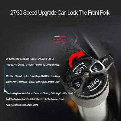 DULPLAY Mountainbikes,Unisex 24 Geschwindigkeit Shock Dual Disc Bremsen Erwachsene Fahrrad,Luxus Rennrad Fetter Reifen Aluminiumrahmen C 27.5zoll (170-190cm)