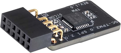 Modul TPM 2.0 Gigabyte Pour Carte mère Intel 400/300 Series ou AMD B350 GC-TPM20SPI20