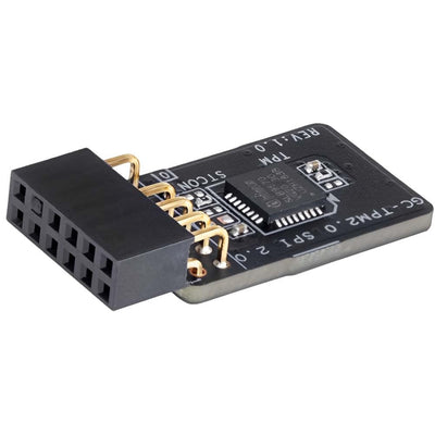 Modul TPM 2.0 Gigabyte Pour Carte mère Intel 400/300 Series ou AMD B350 GC-TPM20SPI20