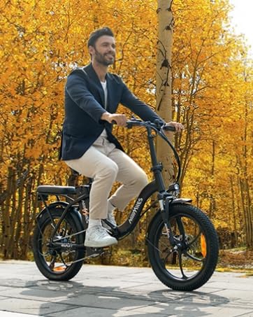 HillMiles MilePort 1 Elektrofahrrad Für Erwachsene, 250W Klappbares Elektrofahrrad Mit 36V 13AH Abnehmbarem Akku, Geschwindigkeit 25KM/H und Reichweite 100KM, 20„ * 3.0“ Fetter Reifen