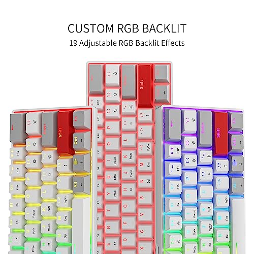 Newmen GM610 Gaming Tastatur Kabellos,60% Prozent Mechanische Bluetooth/2.4Ghz/Mit Kabel,61 Tasten RGB Beleuchtung Hot Swap Anti Ghosting TKL Mini QWERTY Keyboard für PC/Win/Mac,Rote Schalter