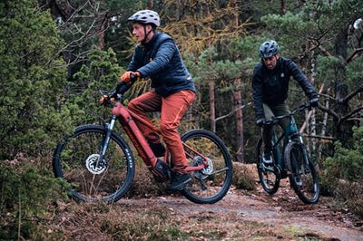 Fischer E-Mountainbike MONTIS 7.0i, Elektrofahrrad für Damen und Herren, Mittelmotor 70 Nm, 36 V Akku