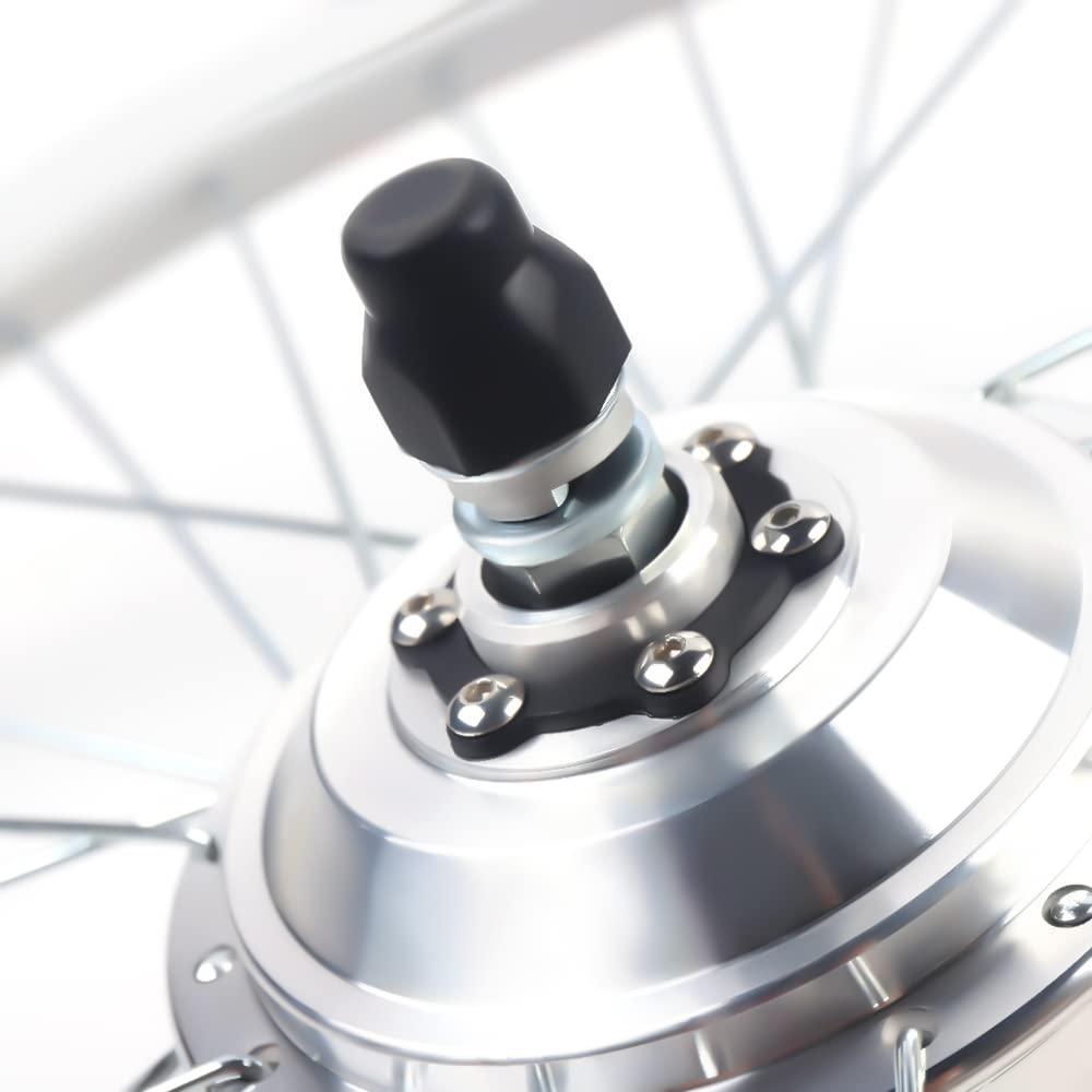 DeeDuud Fahrrad Elektromotor Kit, E-Bike Umrüstsatz 250W 36V mit 7-Gang-Schwungrad 30 km/h 5 Magnetpunkt-Hilfssensor für 26 Zoll Hinterrads eines Fahrrads