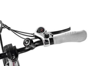 Argento Unisex – Erwachsene Mini Max E-Fahrrad, Grau, Einer Größe
