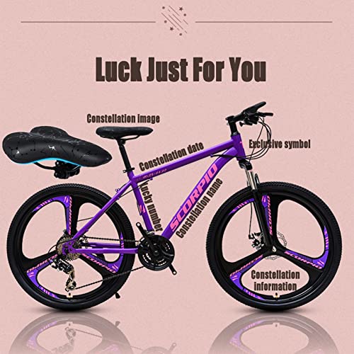 Wmmner Hardtail Mountainbike, 61 cm (24 Zoll), 12 Konstellationen für Mountainbike, für Männer und Frauen, Mountainbike mit doppelter Scheibenbremse, Fahrrad