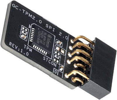 Modul TPM 2.0 Gigabyte Pour Carte mère Intel 400/300 Series ou AMD B350 GC-TPM20SPI20