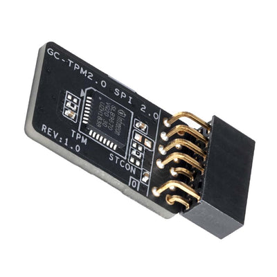 Modul TPM 2.0 Gigabyte Pour Carte mère Intel 400/300 Series ou AMD B350 GC-TPM20SPI20