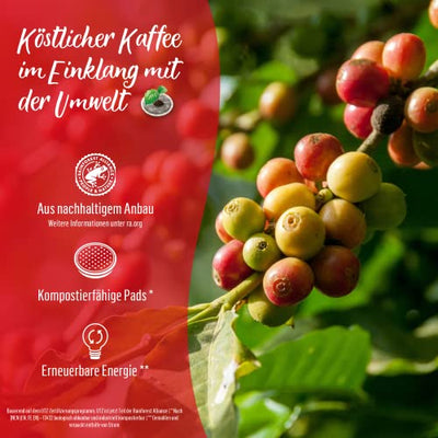 Senseo Pads Classic - Kaffee RA-zertifiziert - 10 Packungen x 16 Kaffeepads