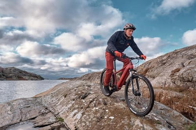 Fischer E-Mountainbike MONTIS 7.0i, Elektrofahrrad für Damen und Herren, Mittelmotor 70 Nm, 36 V Akku