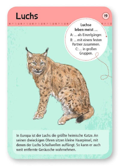 moses. Expedition Natur - 50 heimische Wald- und Wildtiere, Entdeckerkarten zur Bestimmung von Tierarten, Outdoor-Spielzeug für Kinder ab 6 Jahren